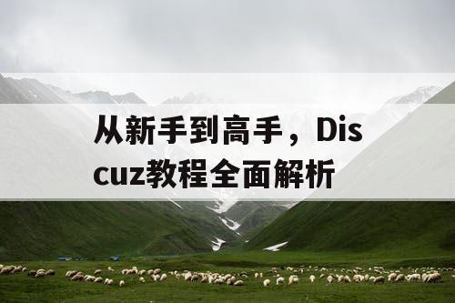 从新手到高手，Discuz教程全面解析