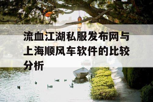 流血江湖私服发布网与上海顺风车软件的比较分析