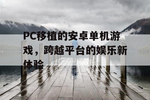 PC移植的安卓单机游戏,跨越平台的娱乐新体验 PC移植的安卓单机游戏,跨越平台的娱乐新体验