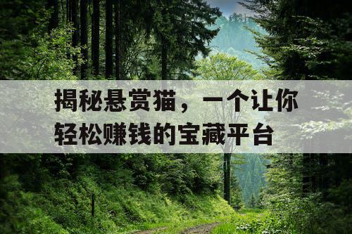 揭秘悬赏猫，一个让你轻松赚钱的宝藏平台