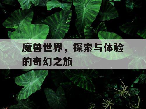 魔兽世界,探索与体验的奇幻之旅 魔兽世界,探索与体验的奇幻之旅