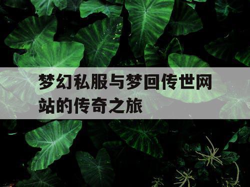 梦幻私服与梦回传世网站的传奇之旅