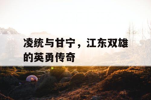 凌统与甘宁,江东双雄的英勇传奇 凌统与甘宁,江东双雄的英勇传奇