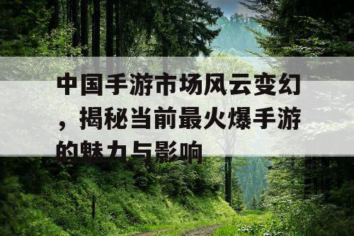 中国手游市场风云变幻,揭秘当前最火爆手游的魅力与影响 中国手游市场风云变幻,揭秘当前最火爆手游的魅力与影响