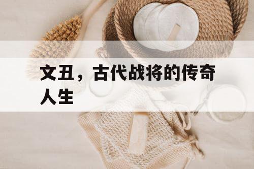 文丑,古代战将的传奇人生 文丑,古代战将的传奇人生