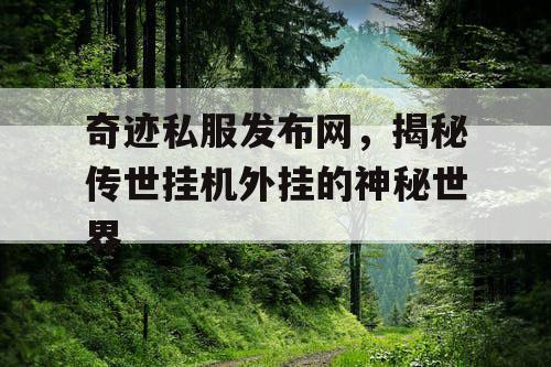 奇迹私服发布网,揭秘传世挂机外挂的神秘世界 奇迹私服发布网,揭秘传世挂机外挂的神秘世界