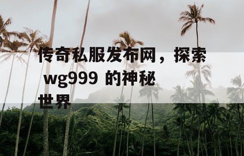 传奇私服发布网，探索 wg999 的神秘世界