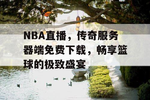 NBA直播，传奇服务器端免费下载，畅享篮球的极致盛宴