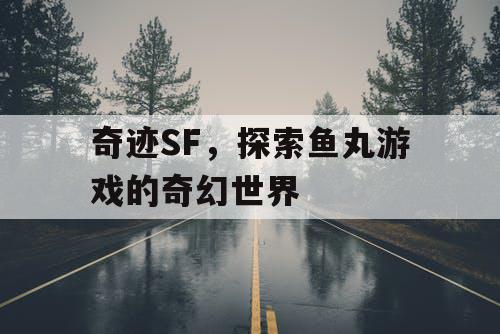 奇迹SF,探索鱼丸游戏的奇幻世界 奇迹SF,探索鱼丸游戏的奇幻世界