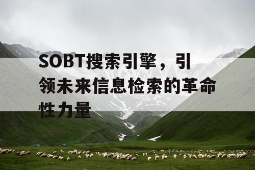 SOBT搜索引擎，引领未来信息检索的革命性力量