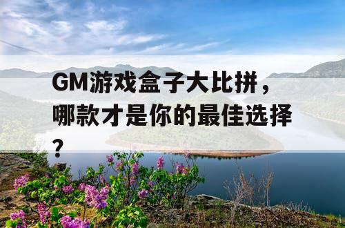 GM游戏盒子大比拼,哪款才是你的最佳选择? GM游戏盒子大比拼,哪款才是你的最佳选择?