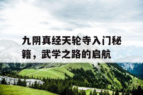 九阴真经天轮寺入门秘籍，武学之路的启航