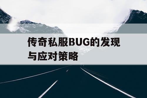 传奇私服BUG的发现与应对策略