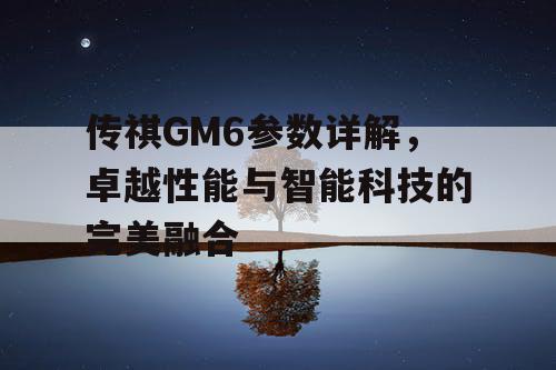 传祺GM6参数详解，卓越性能与智能科技的完美融合