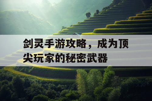 剑灵手游攻略，成为顶尖玩家的秘密武器