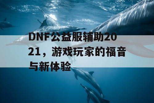 DNF公益服辅助2021,游戏玩家的福音与新体验 DNF公益服辅助2021,游戏玩家的福音与新体验