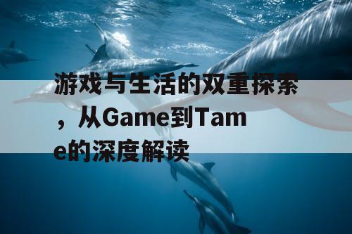 游戏与生活的双重探索,从Game到Tame的深度解读 游戏与生活的双重探索,从Game到Tame的深度解读