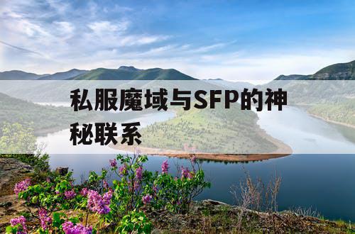 私服魔域与SFP的神秘联系 私服魔域与SFP的神秘联系