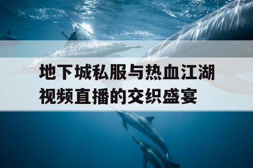 地下城私服与热血江湖视频直播的交织盛宴 地下城私服与热血江湖视频直播的交织盛宴