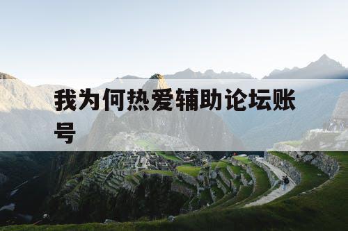 我为何热爱辅助论坛账号 我为何热爱辅助论坛账号
