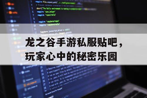 龙之谷手游私服贴吧，玩家心中的秘密乐园