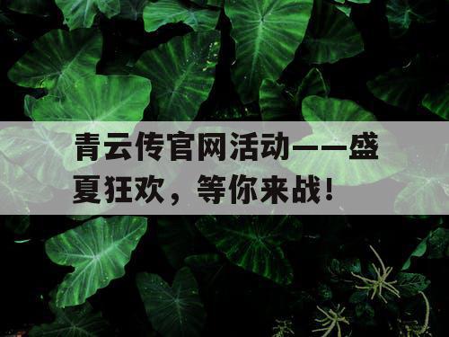 青云传官网活动——盛夏狂欢，等你来战！