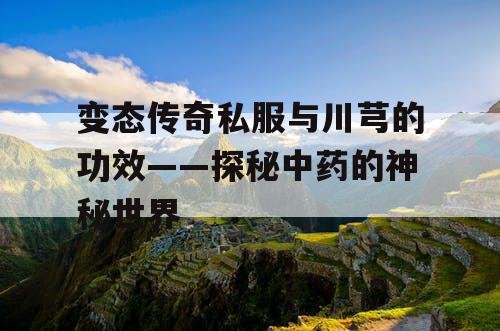 变态传奇私服与川芎的功效——探秘中药的神秘世界