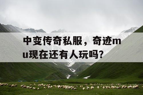 中变传奇私服，奇迹mu现在还有人玩吗？