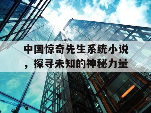 中国惊奇先生系统小说，探寻未知的神秘力量