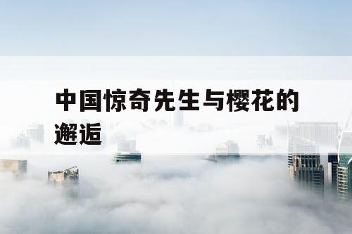 中国惊奇先生与樱花的邂逅 中国惊奇先生与樱花的邂逅
