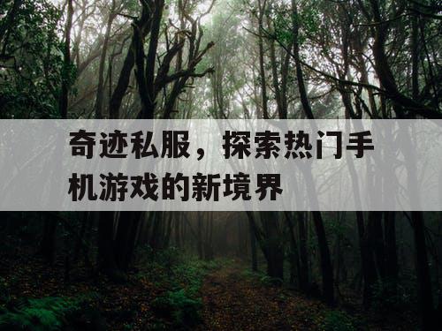奇迹私服，探索热门手机游戏的新境界