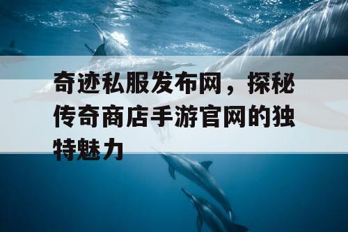 奇迹私服发布网，探秘传奇商店手游官网的独特魅力