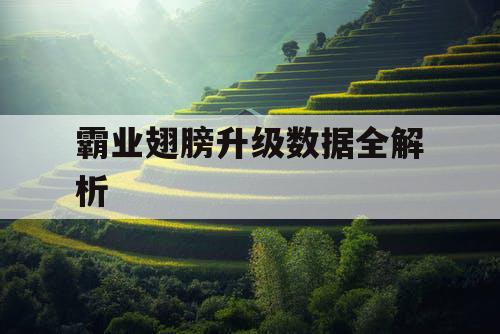 霸业翅膀升级数据全解析 霸业翅膀升级数据全解析
