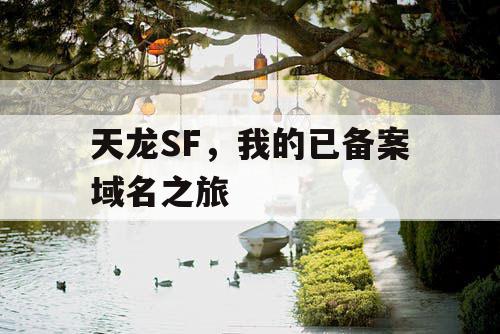 天龙SF，我的已备案域名之旅