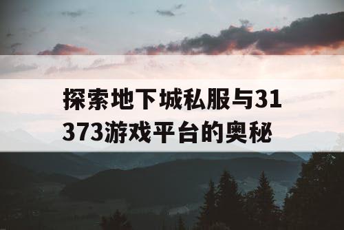 探索地下城私服与31373游戏平台的奥秘