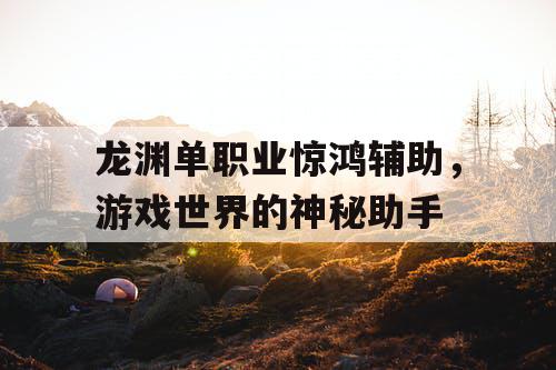 龙渊单职业惊鸿辅助，游戏世界的神秘助手