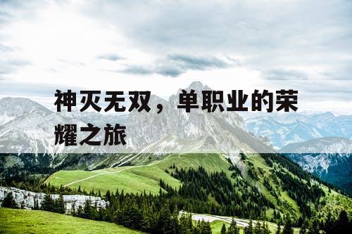 神灭无双,单职业的荣耀之旅 神灭无双,单职业的荣耀之旅