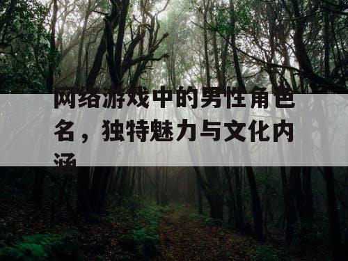 网络游戏中的男性角色名，独特魅力与文化内涵