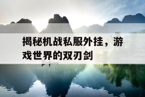 揭秘机战私服外挂，游戏世界的双刃剑