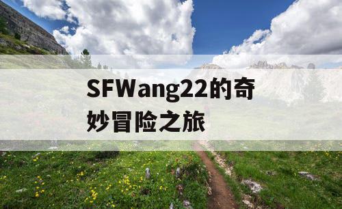 SFWang22的奇妙冒险之旅