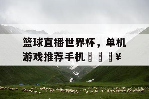 篮球直播世界杯，单机游戏推荐手机🔥