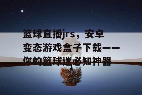 篮球直播jrs，安卓变态游戏盒子下载——你的篮球迷必知神器