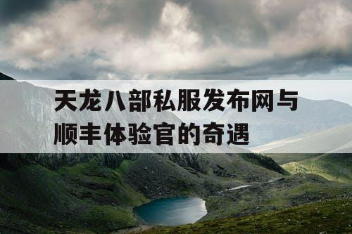 天龙八部私服发布网与顺丰体验官的奇遇