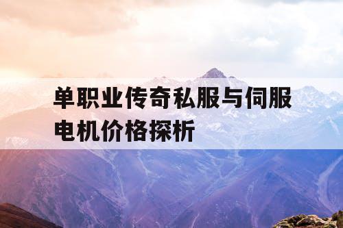 单职业传奇私服与伺服电机价格探析