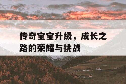 传奇宝宝升级，成长之路的荣耀与挑战