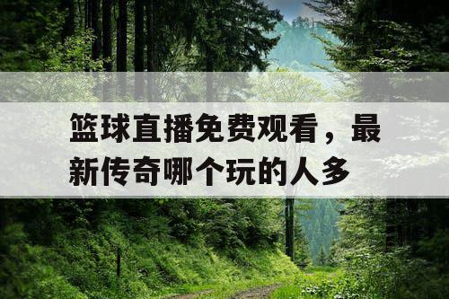 篮球直播免费观看，最新传奇哪个玩的人多