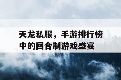 天龙私服，手游排行榜中的回合制游戏盛宴