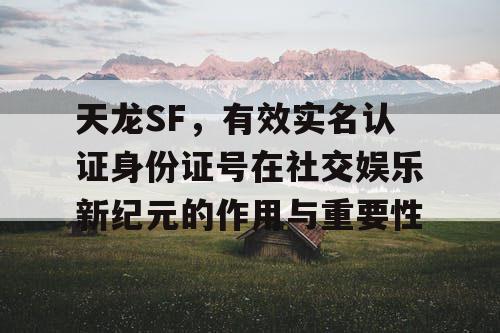 天龙SF，有效实名认证身份证号在社交娱乐新纪元的作用与重要性