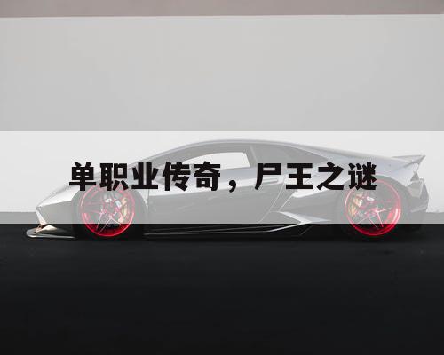 单职业传奇，尸王之谜