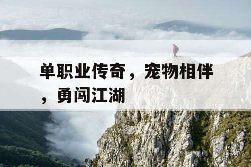 单职业传奇，宠物相伴，勇闯江湖